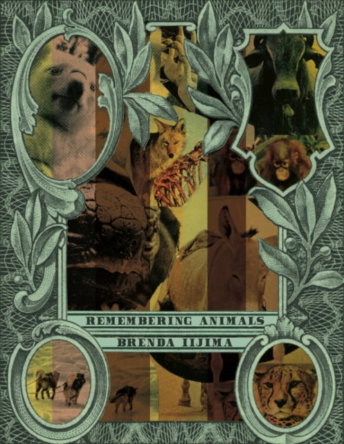 Book cover of: Remembering Animals. By: Brenda Iijima