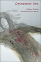 Book cover of: Paraguayan Sea. By: Wilson Bueno