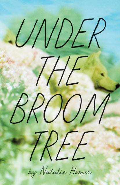 Book cover of: Under the Broom Tree. By: Natalie Homer