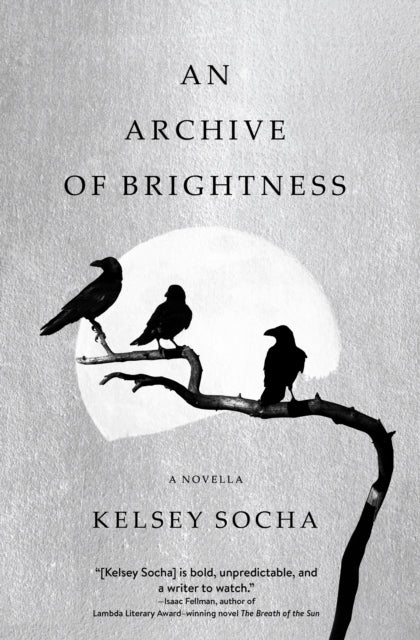 Book cover of: Archive of Brightness. By: Kelsey Socha
