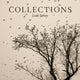 Book cover of: Collections. By: Leah Sobsey