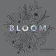 Book cover of: Bloom. By: Alli Koch