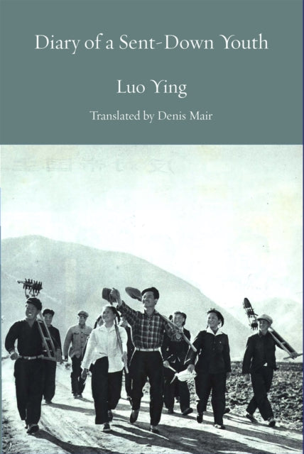 Book cover of: Journal of the Cultural Revolution