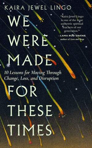 We Were Made for These Times, Skillfully Moving through Change, Loss, and Disruption