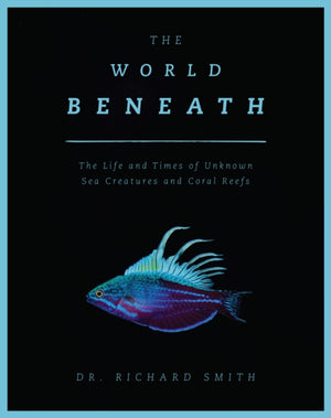 World Beneath