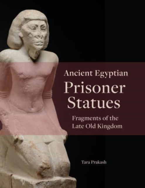 Book cover of: Ancient Egyptian Prisoner Statues. By: Tara Prakash