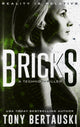 Book cover of: Bricks