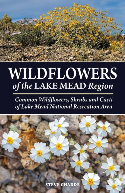 Book cover of: Wildflowers of the Lake Mead Region. By: Steve Chadde