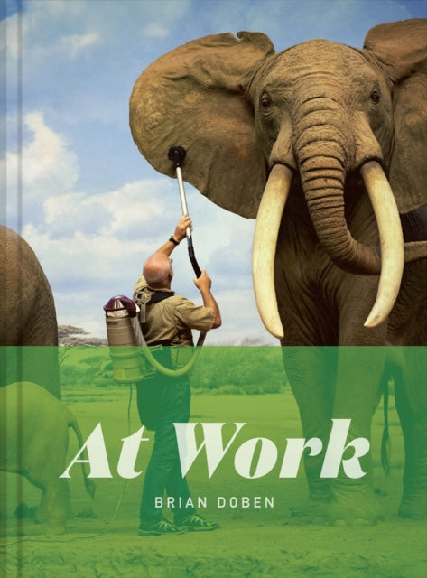 Book cover of: At Work