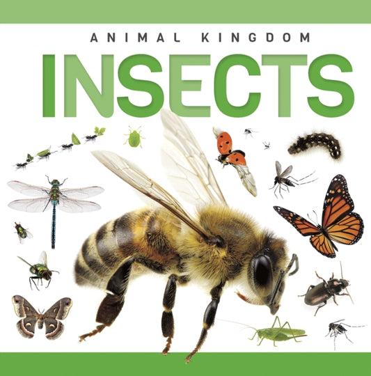 Book cover of: Insects
