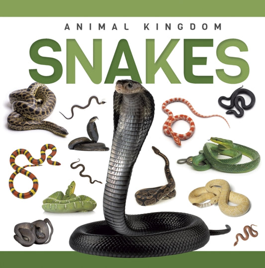 Book cover of: Snakes