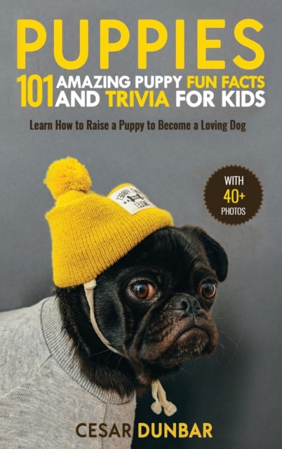 Book cover of: Puppies