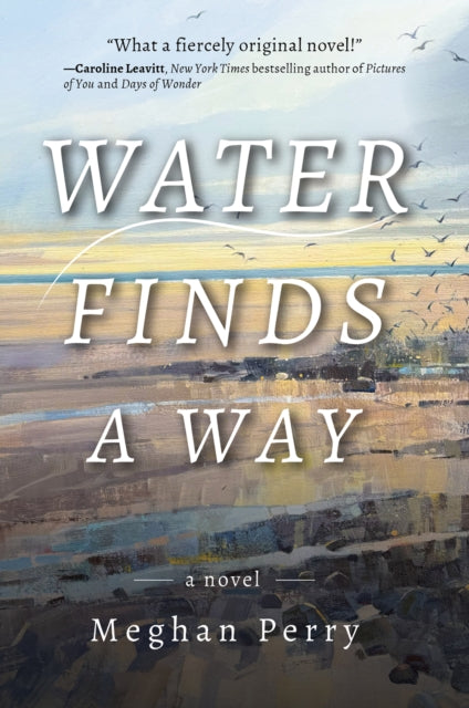 Book cover of: Water Finds a Way a novel. By: Meghan Perry