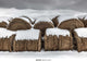 Book cover of: Winter. By: Bruce Haley