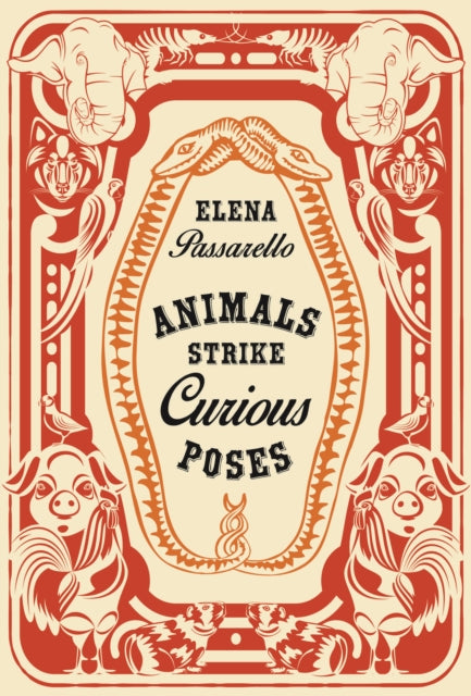 Book cover of: Animals Strike Curious Poses. By: Elena Passarello