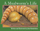 Book cover of: Mealworm's Life. By: John Himmelman