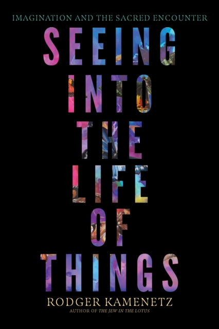 Book cover of: Seeing into the Life of Things. By: Rodger Kamenetz