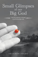 Book cover of: Small Glimpses of Our Big God