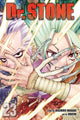Book cover of: Dr. STONE, Vol. 23. By: Riichiro Inagaki