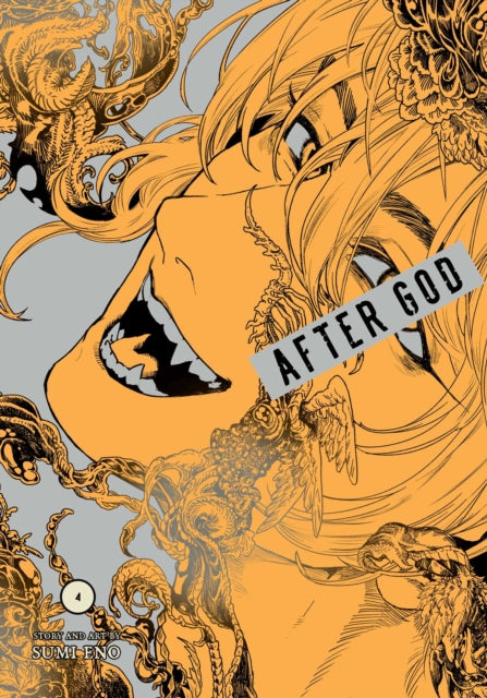 Book cover of: After God, Vol. 4