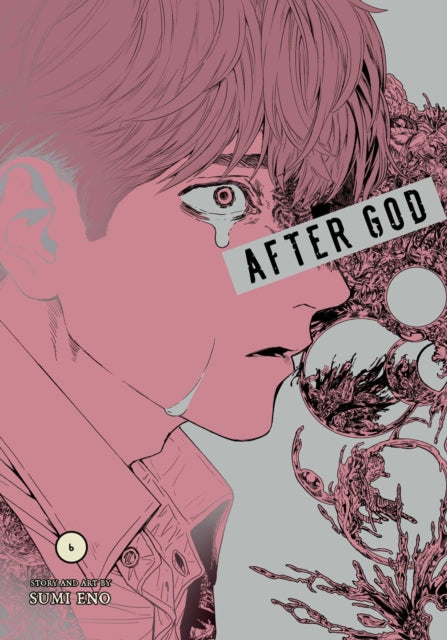 Book cover of: After God, Vol. 6
