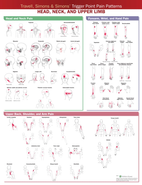 Book cover of: Travell, Simons & Simons’ Trigger Point Pain Patterns Wall Chart