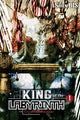 Book cover of: King of the Labyrinth, Vol. 1 (light novel). By: Shien Bis