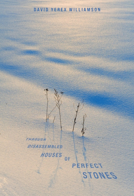 Book cover of: Through Disassembled Houses of Perfect Stones. By: David Williamson