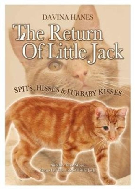 Book cover of: Return of Little Jack. By: Davina Hanes