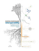Book cover of: Interoperability – An Introduction to IFC and buildingSMART Standards, Integrating Infrastructure Modeling. By: Bernd Domer