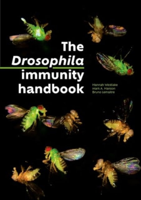 Book cover of: Drosophila Immunity Handbook. By: Bruno Lemaitre