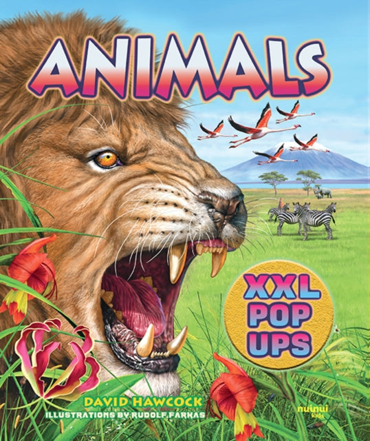 Book cover of: Animals XXL pop-ups. By: HAWCOCK, DAVID