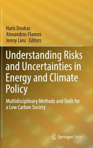 Understanding Risks and Uncertainties in Energy and Climate Policy