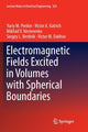 Book cover of: Electromagnetic Fields Excited in Volumes with Spherical Boundaries. By: Yuriy M. Penkin