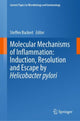 Book cover of: Molecular Mechanisms of Inflammation: Induction, Resolution and Escape by Helicobacter pylori. By: Steffen Backert