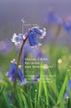 Book cover of: Sexual Crime, Religion and Spirituality. By: Belinda Winder
