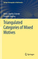Book cover of: Triangulated Categories of Mixed Motives. By: Denis-Charles Cisinski