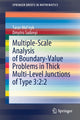Book cover of: Multiple-Scale Analysis of Boundary-Value Problems in Thick Multi-Level Junctions of Type 3:2:2. By: Taras Mel'nyk