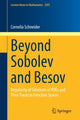 Book cover of: Beyond Sobolev and Besov. By: Cornelia Schneider