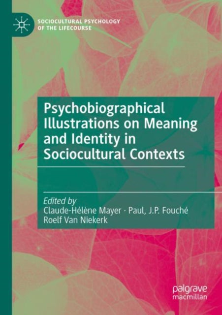 Book cover of: Psychobiographical Illustrations on Meaning and Identity in Sociocultural Contexts. By: Mayer, Claude-Hélène