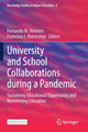 Book cover of: University and School Collaborations during a Pandemic. By: Fernando M. Reimers