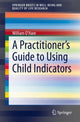 Book cover of: Practitioner's Guide to Using Child Indicators