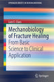 Book cover of: Mechanobiology of Fracture Healing. By: Lutz Claes