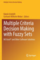 Book cover of: Multiple Criteria Decision Making with Fuzzy Sets. By: Babek Erdebilli