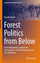 Book cover of: Forest Politics from Below. By: Ricardo Kaufer