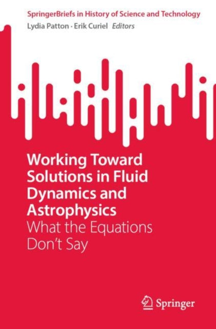 Book cover of: Working Toward Solutions in Fluid Dynamics and Astrophysics. By: Lydia Patton
