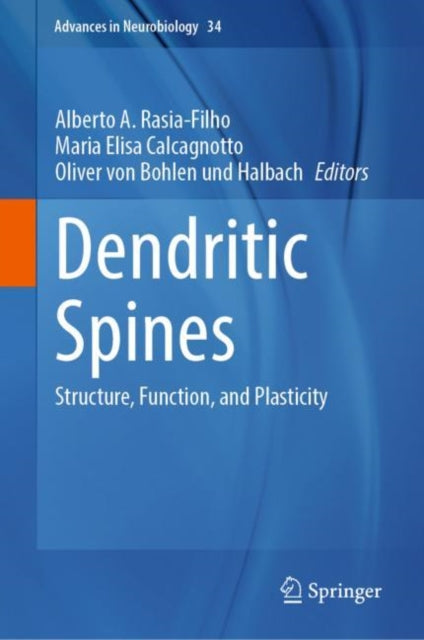 Book cover of: Dendritic Spines. By: Alberto Antonio Rasia-Filho
