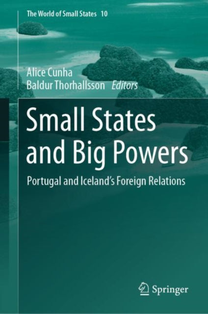 Book cover of: Small States and Big Powers. By: Alice Cunha