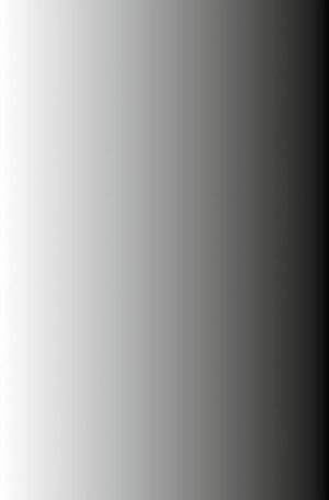 Solitonic Neural Networks