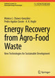 Book cover of: Energy Recovery from Agro-Food Waste